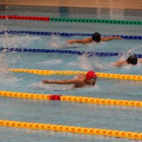 県民総合体育大会　中学校大会　水泳競技に９年生が出場しました
