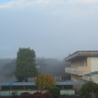 朝，霧がたちこめていました