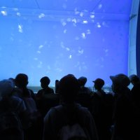 ２年生　遠足『大洗水族館』へ！